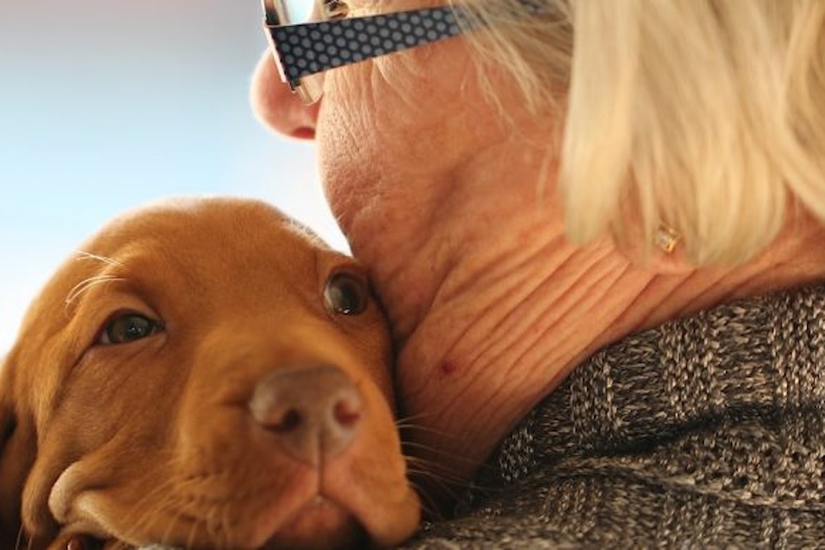 Anziani e animali da compagnia: ma chi l'ha detto che è il cane l'animale più presente?