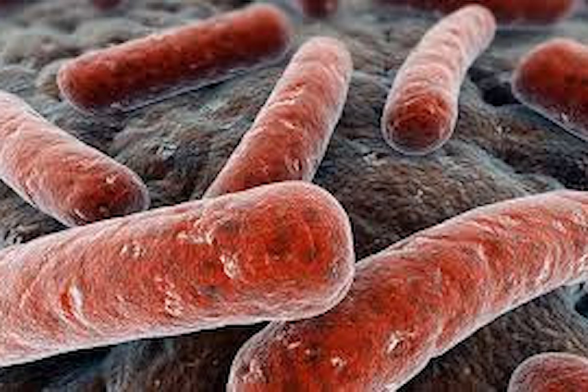 Sconfiggeremo per sempre la tubercolosi?
