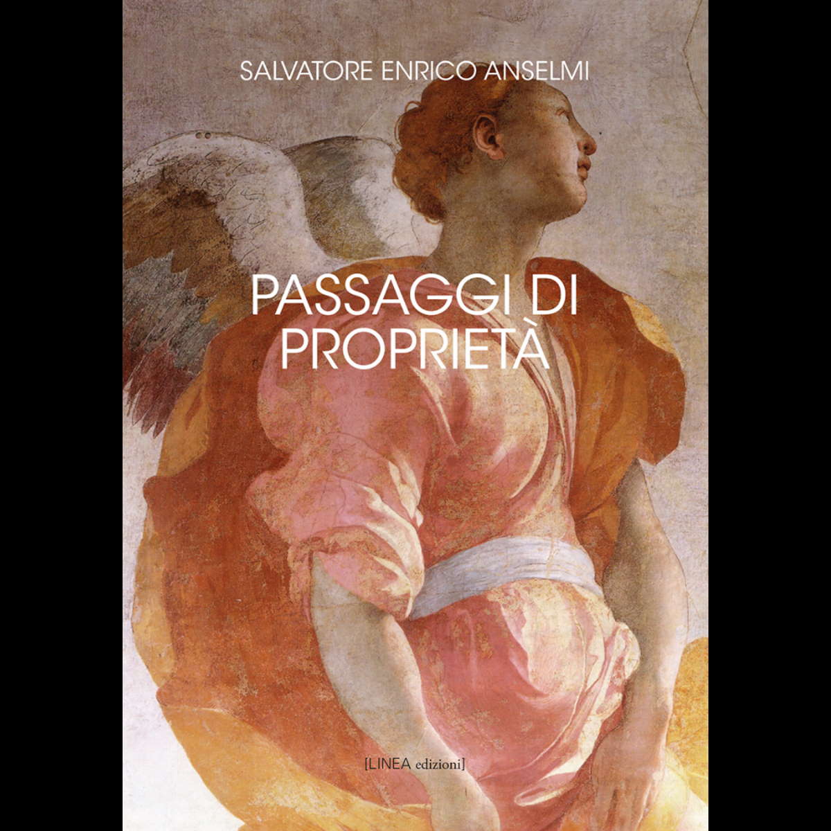 Presentazione il 25 febbraio 2022 del romanzo di Salvatore Enrico Anselmi Passaggi di proprietà