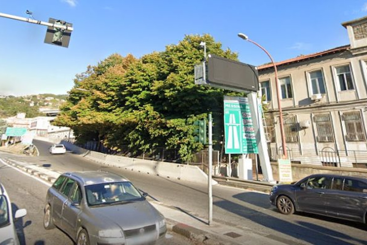 Città Metropolitana di Messina - Interventi di potatura degli alberi interni al Liceo “Archimede”