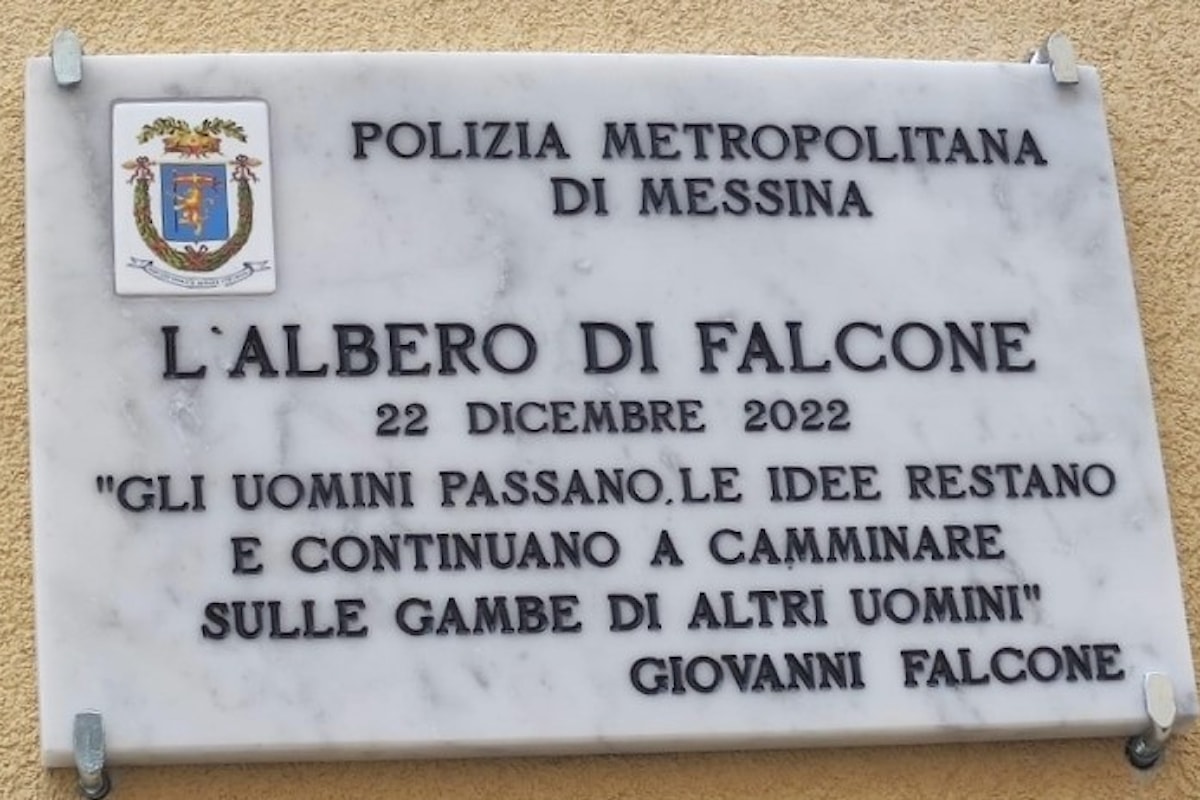 Messina - Cerimonia di messa a dimora dell’albero di Falcone