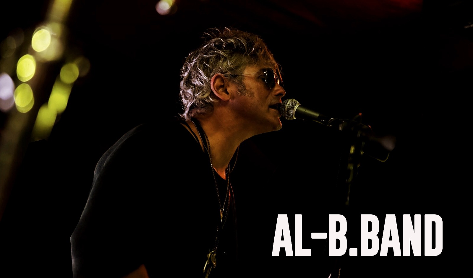 Alberto Salaorni & Al-B.Band: il 30/09 fanno cantare e scatenare la Festa dell'Uva - Bardolino (VR)