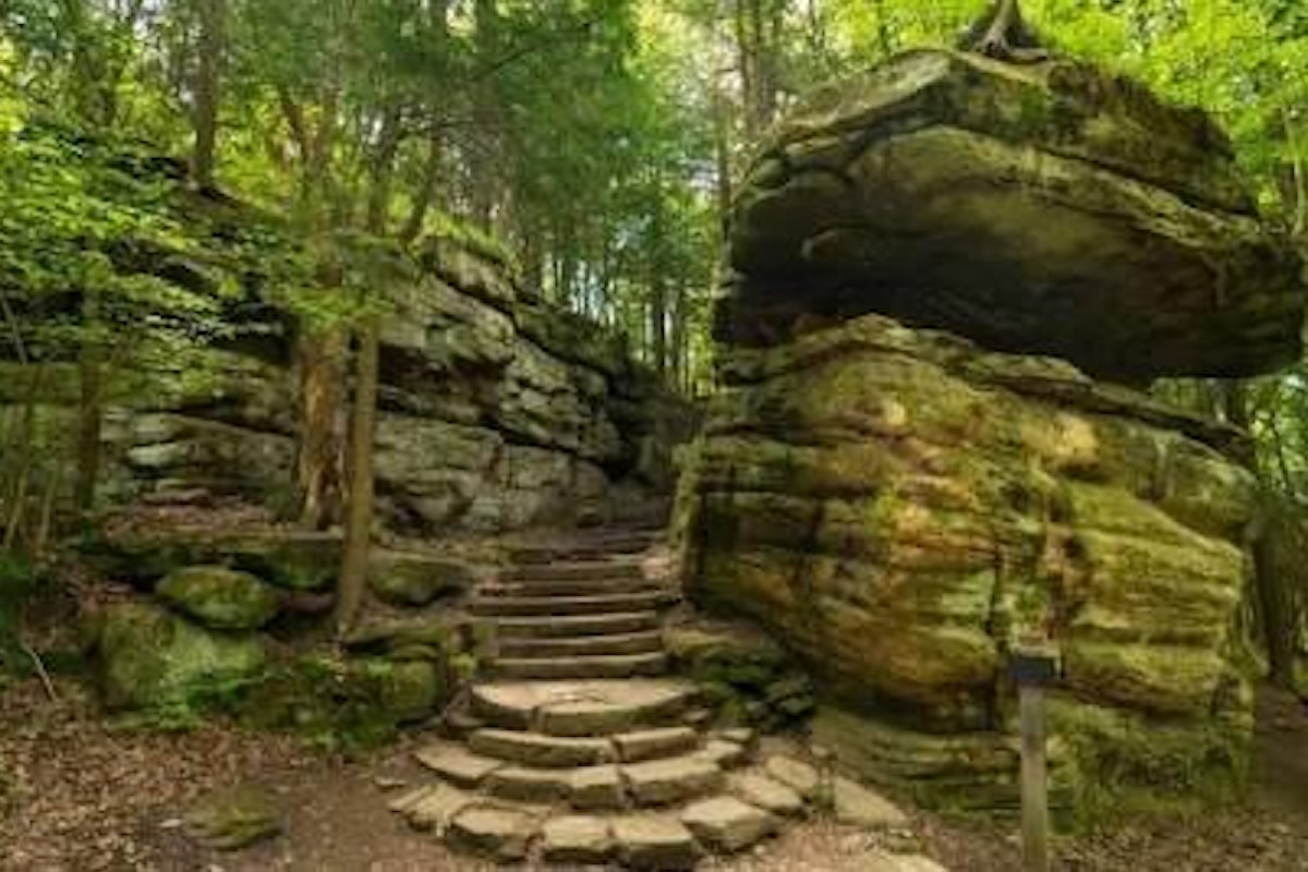 Un'oasi naturalistica nasce dalla bonifica di aree inquinate