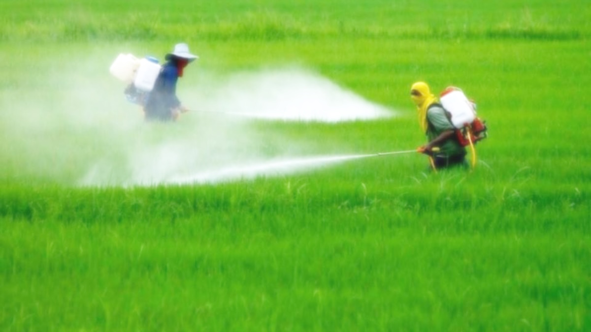 Meloni, Salvini e Lollobrigida esultano perché i cibi sulle nostre tavole possano esser prodotti con più pesticidi