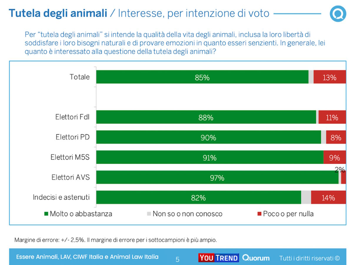 Sondaggio Youtrend/Quorum per le europee 2024: la tutela degli animali sta a cuore alla stragrande maggioranza degli gli italiani