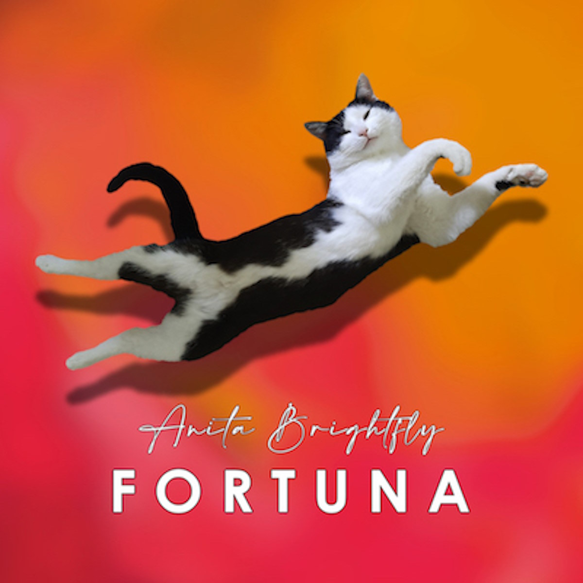 Anita Brightfly: “Fortuna”