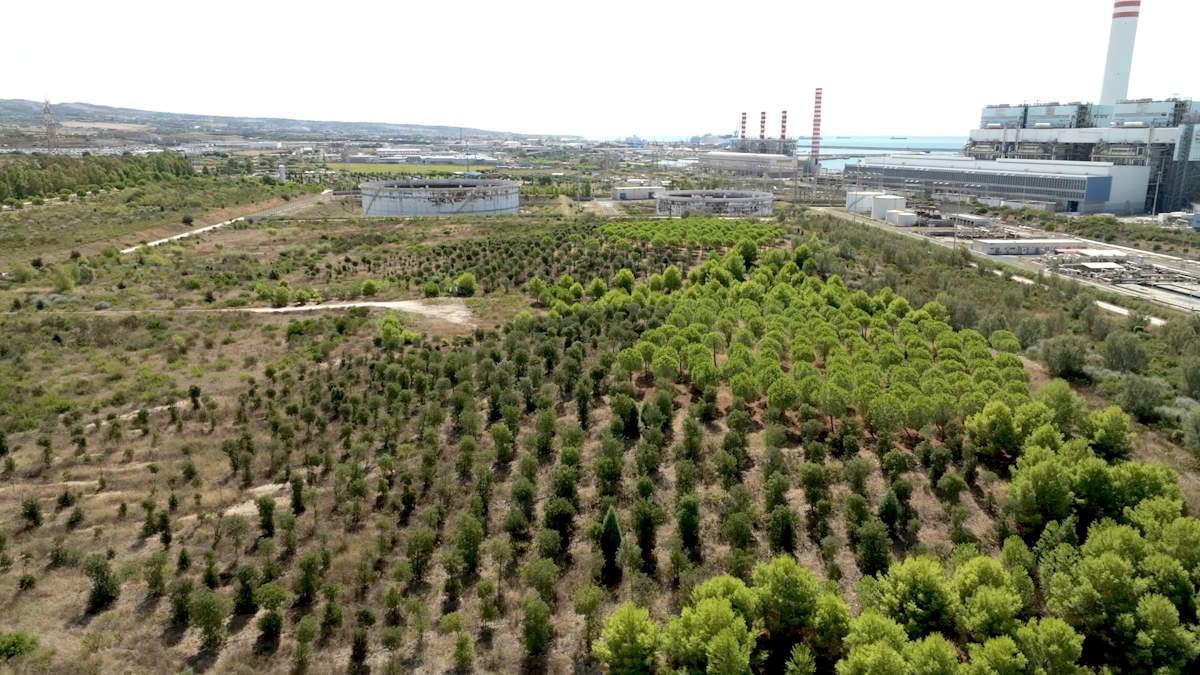 Trasformare un'area naturale in parcheggio si può... a Civitavecchia. La denuncia del WWF