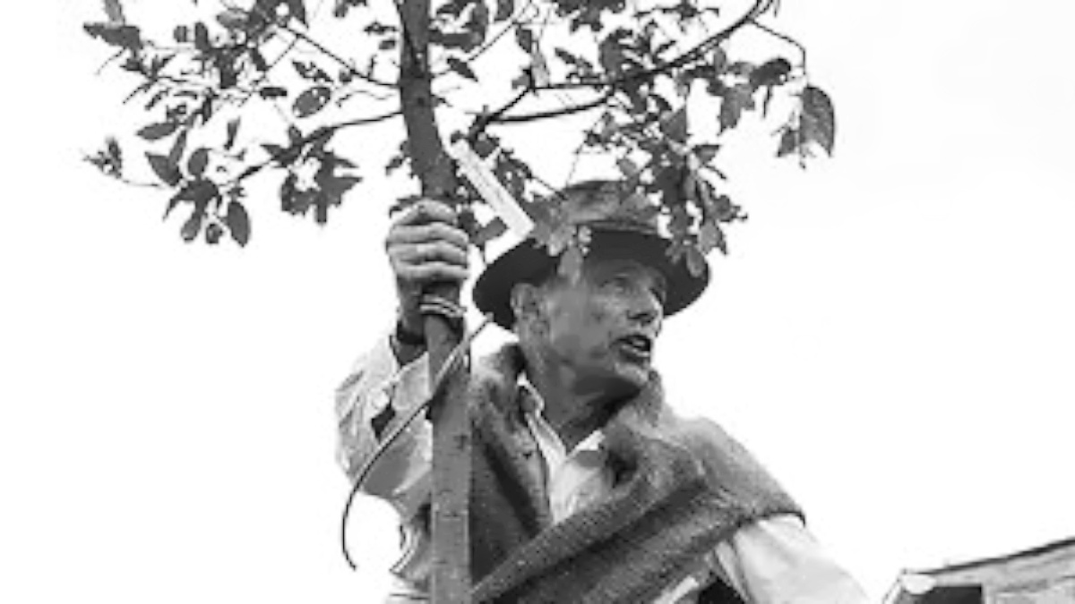 La trilogia dei film su Beuys a ciclo continuo nel giorno dell'inaugurazione del Parco Naturalistico e di Scultura Anna Serena Zambon