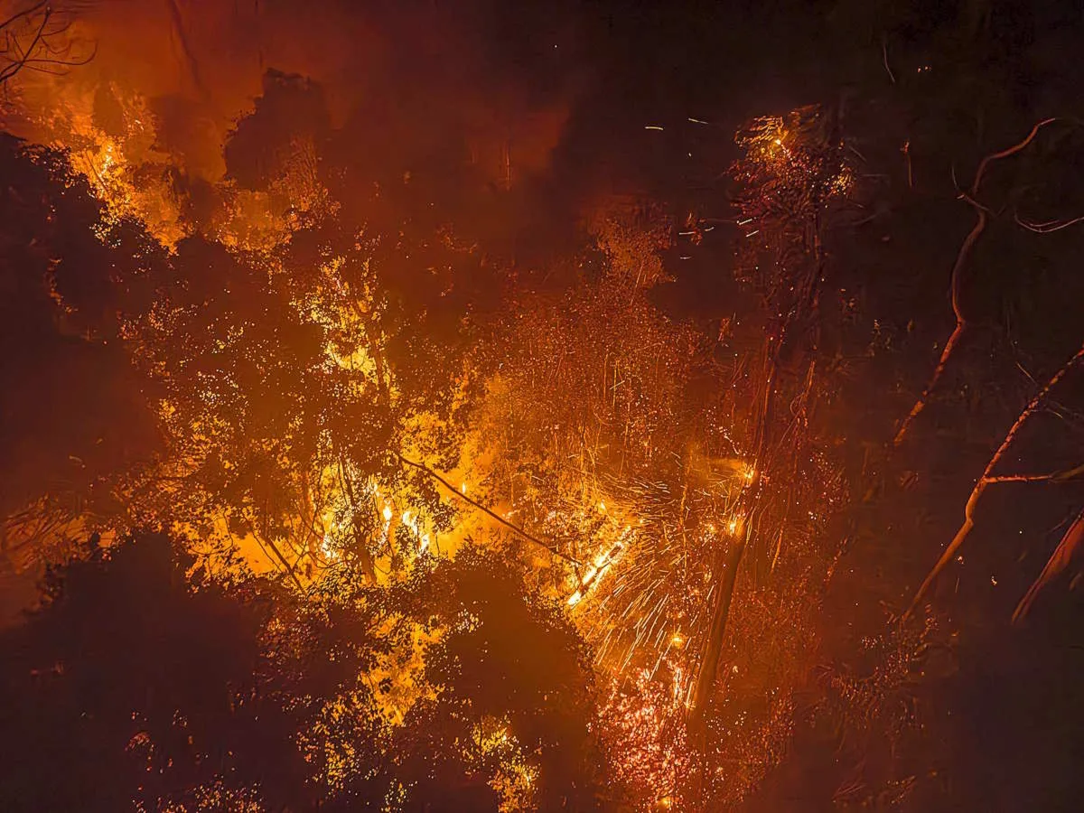 Emergenza incendi, il WWF lancia la campagna SMS solidale “SOS AMAZZONIA BOLIVIANA”