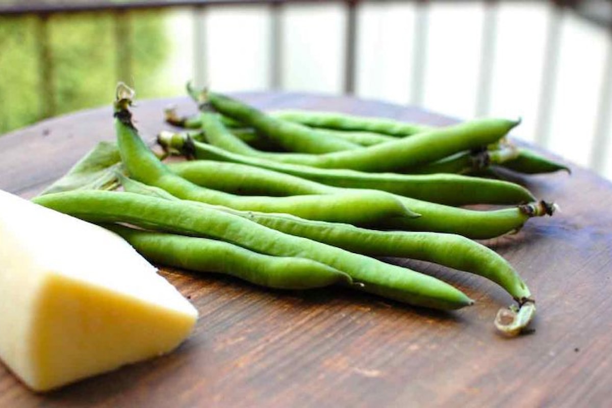 E' giunta la primavera anche a tavola: ricette con fave e pecorino