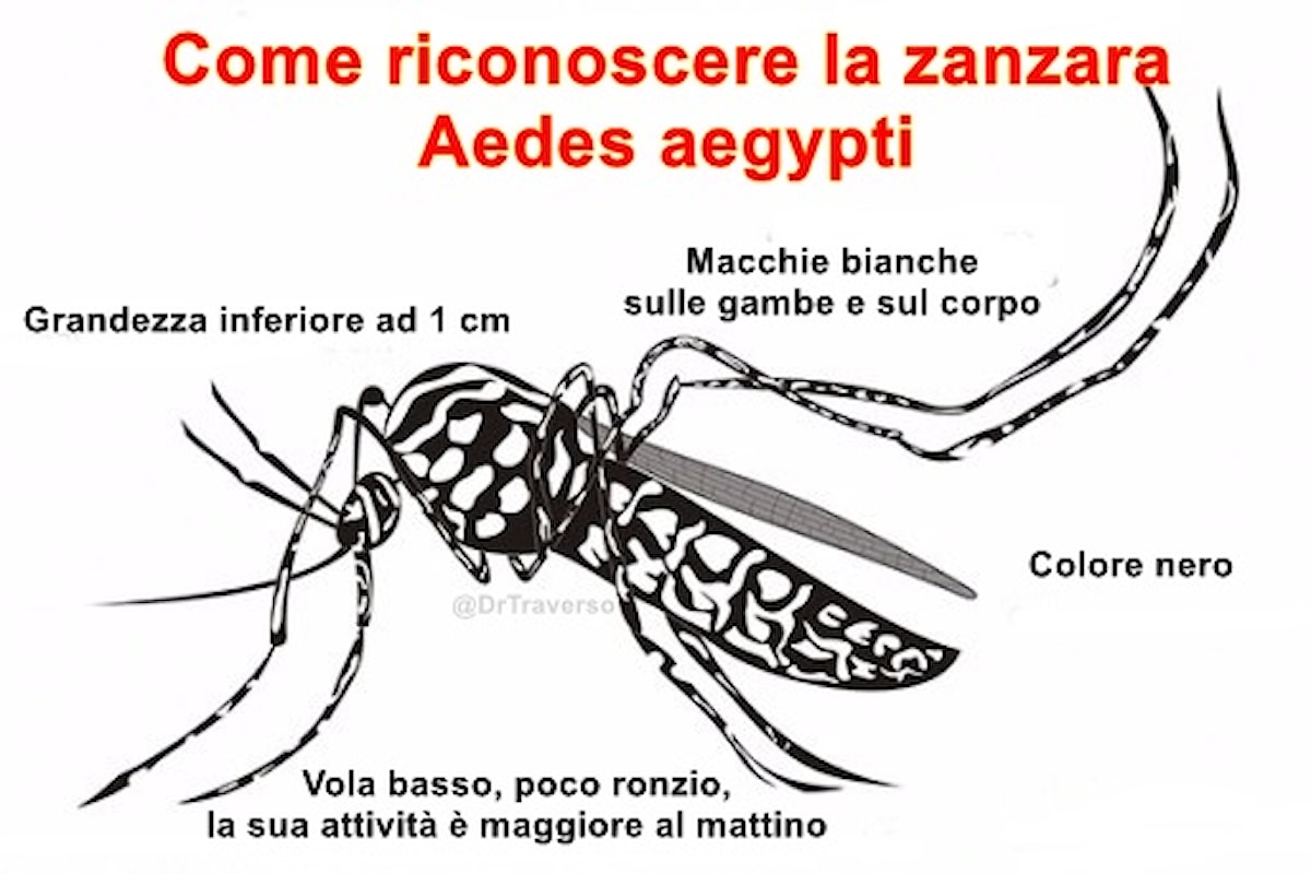 Una vaccinazione consigliata che dovrebbe essere obbligatoria