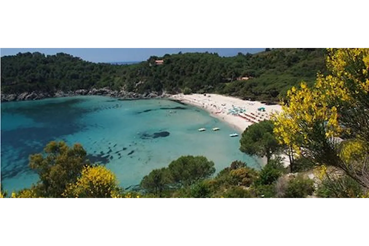 Spiagge dell'Isola d'Elba: la Costa del Sole