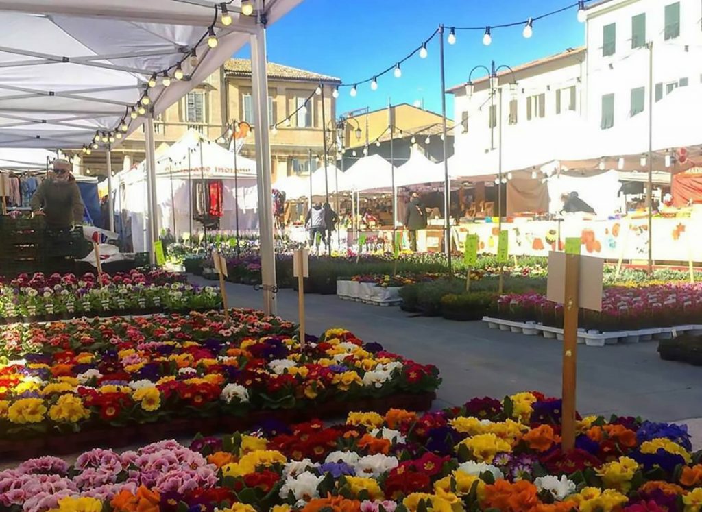 Weekend del 25 aprile a Senigallia - Cose da fare e da vedere durante il ponte