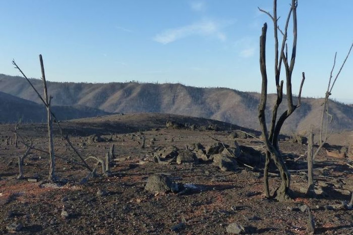 42 le vittime finora accertate di Camp Fire, l'incendio che ha devastato la contea di Butte nel nord della California