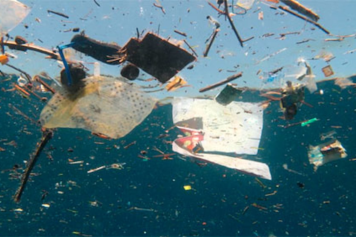 Mediterraneo, emergenza plastica: caretta caretta a rischio estinzione