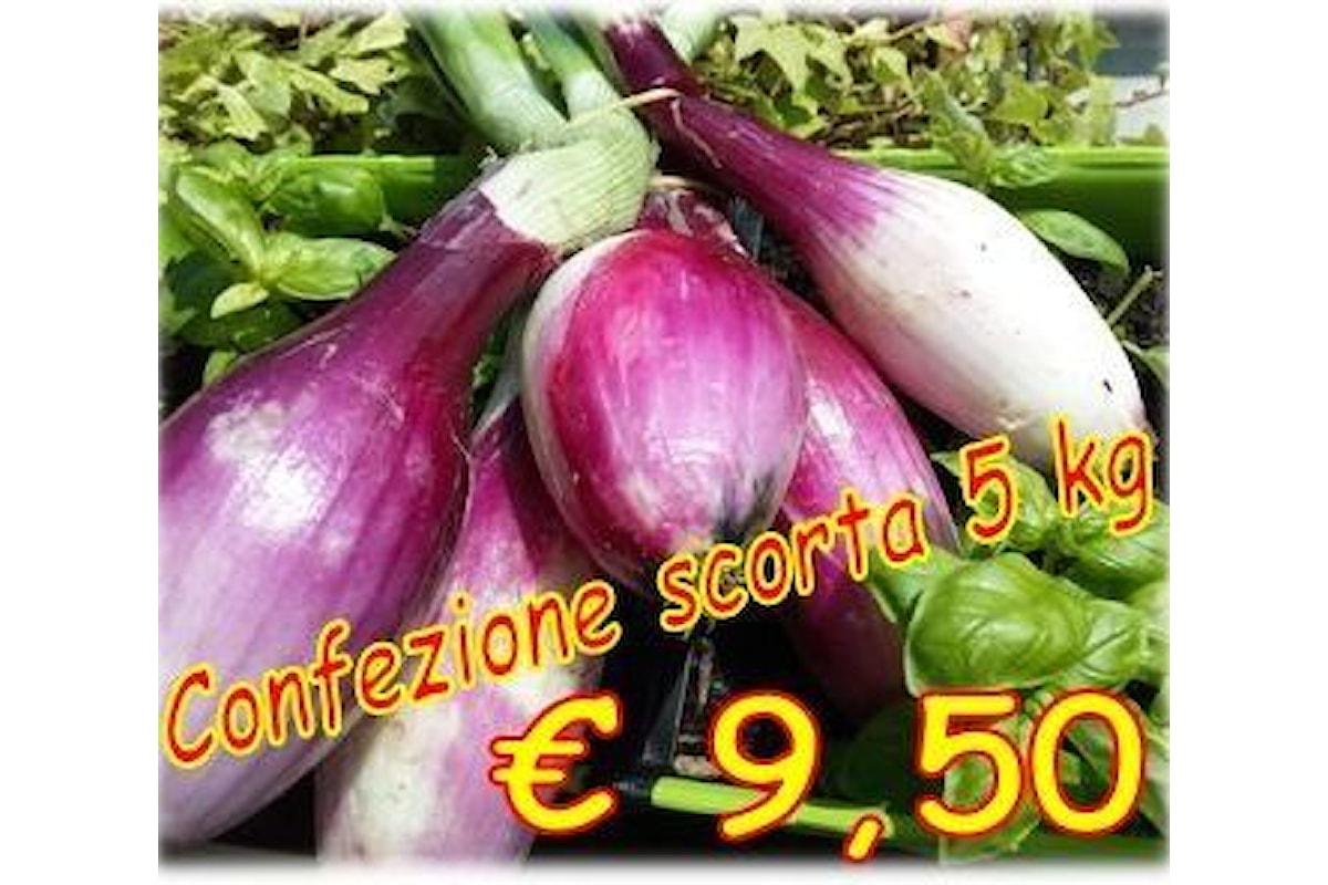 In Calabria è tempo di Cipolla Rossa di Tropea di nuovo raccolto