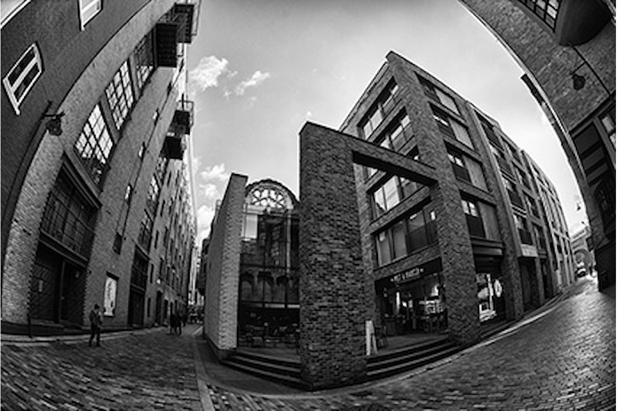 Mostra fotografica personale di Maria Cristina Madera: Urban Fish