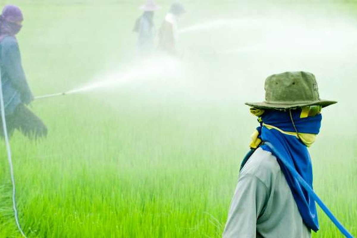 Confermata la trattativa per l'acquisto di Monsanto da parte di Bayer