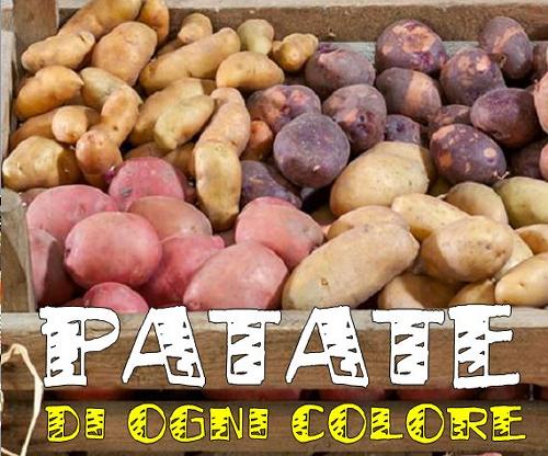 Raccolti allegri con le patate colorate