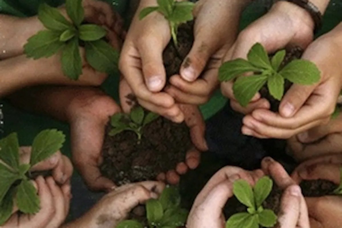 Marco Carra: servizio civile nell'agricoltura sociale per 1830 giovani