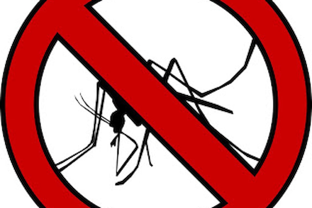 Soluzioni e Rimedi per Eliminare le Zanzare