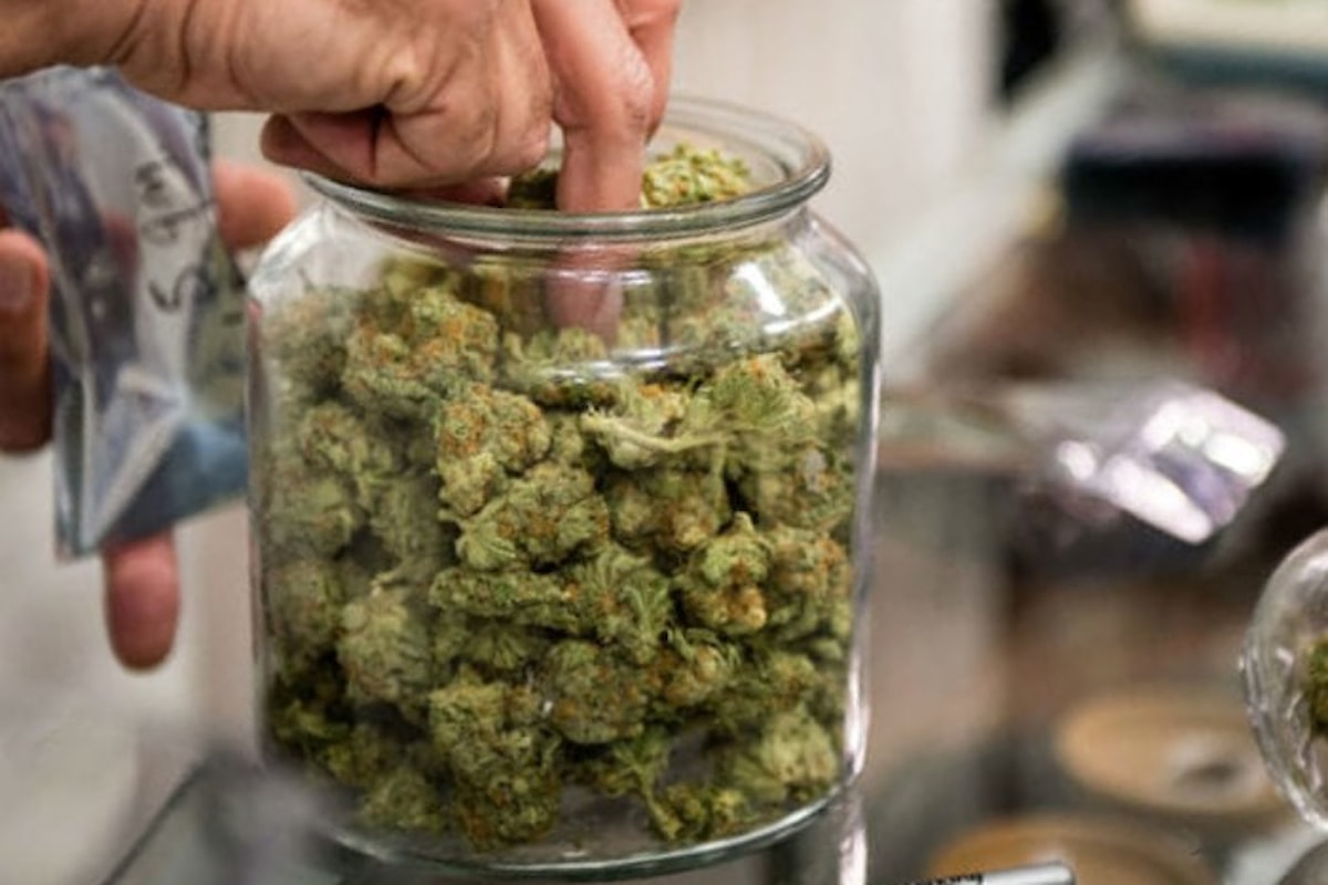 Approvata alla Camera la presa in giro della legge sulla cannabis