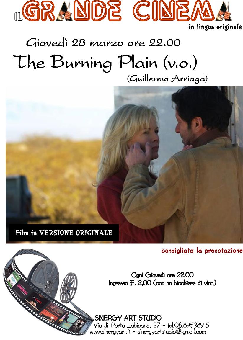 The Burning Plain by Michael Nava